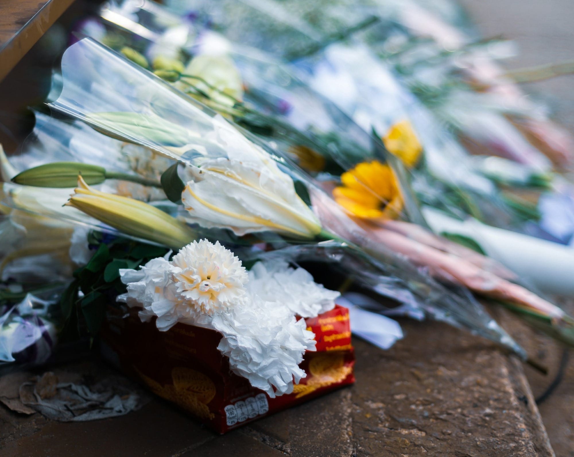 인공지능 시대의 돌봄과 존엄 [HAIE 2025-44]