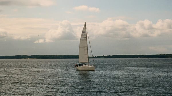 헬스케어 AI, 혼돈을 헤집고 길을 밝히기 위해 [HAIE 2025-46]